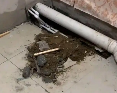 郑州金水区卫生间漏水检测哪家好